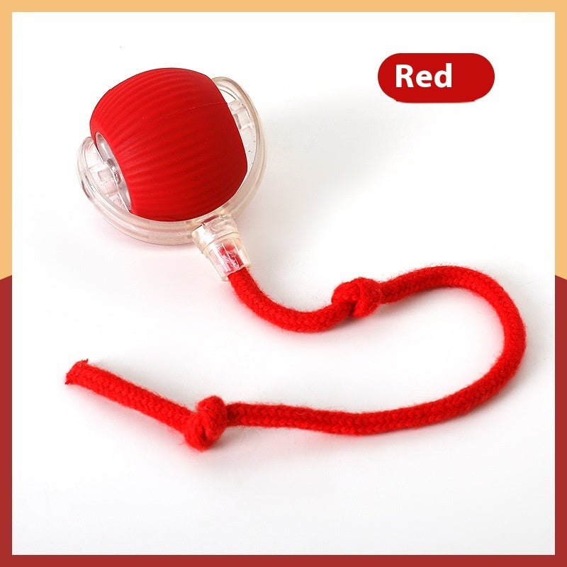 Self rolling cat toy ball for engaging daily indoor cat activities