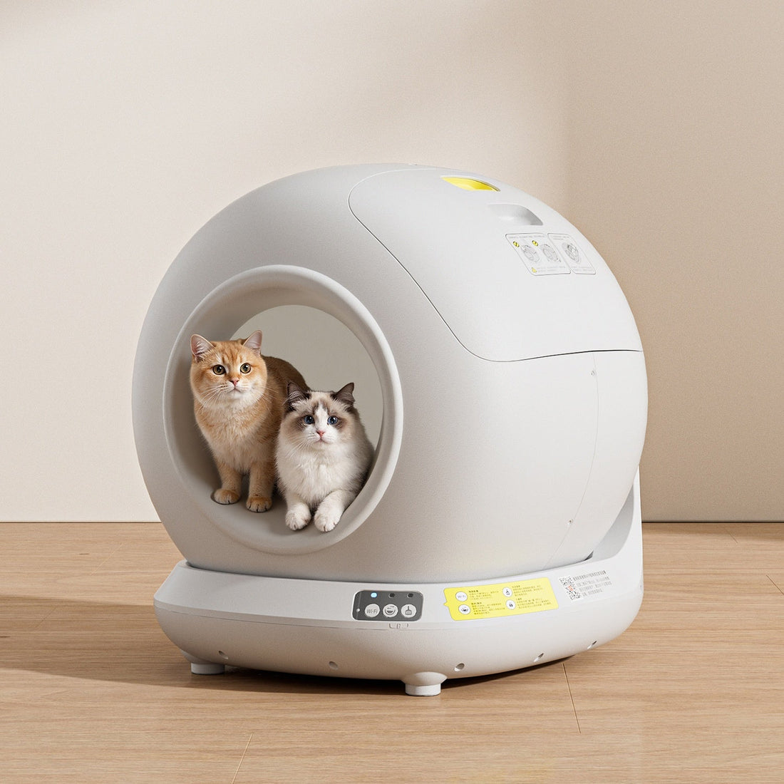 Do Self-Cleaning Litter Boxes Really Work for Odor and Hygiene?