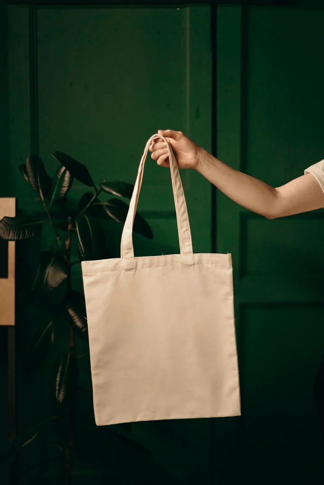 Plant-Based Packaging: The Sustainable Revolution from Lab to Shelf