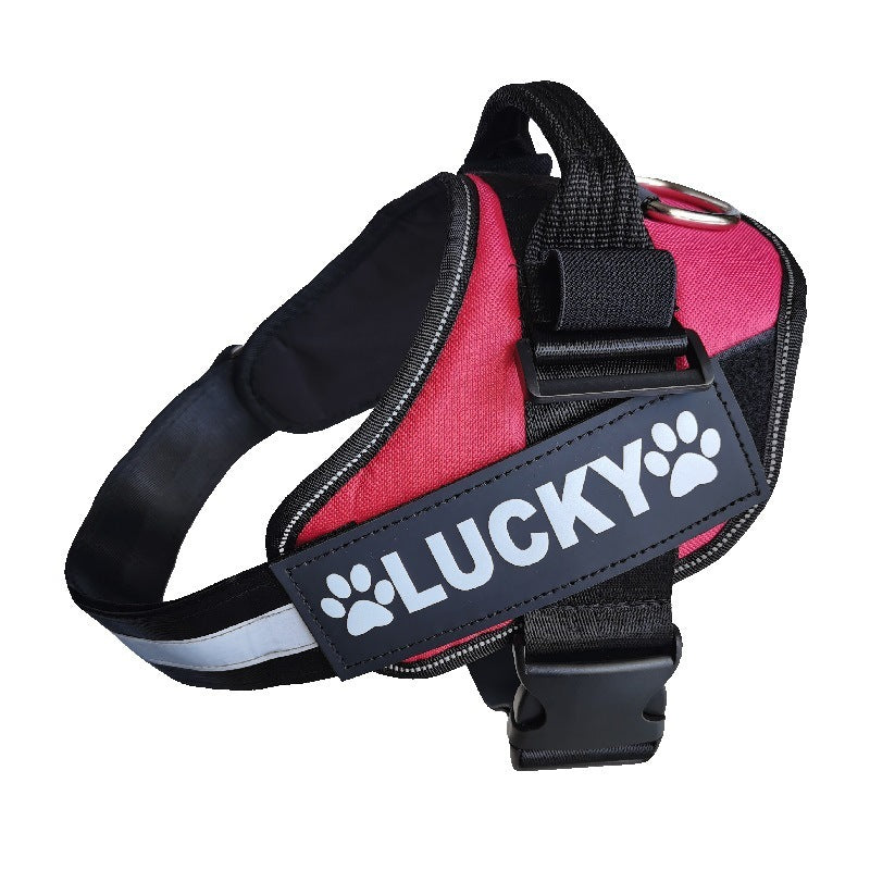 Pet Travel & Outdoor