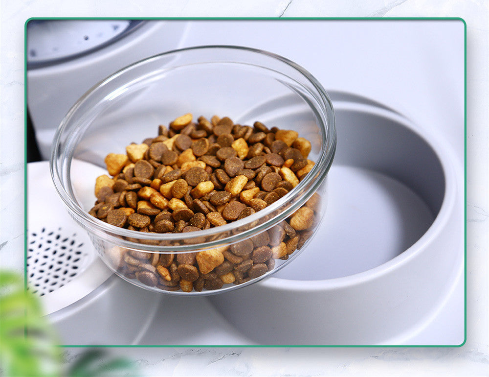 Eco-Friendly Pet Bowls & Feeders