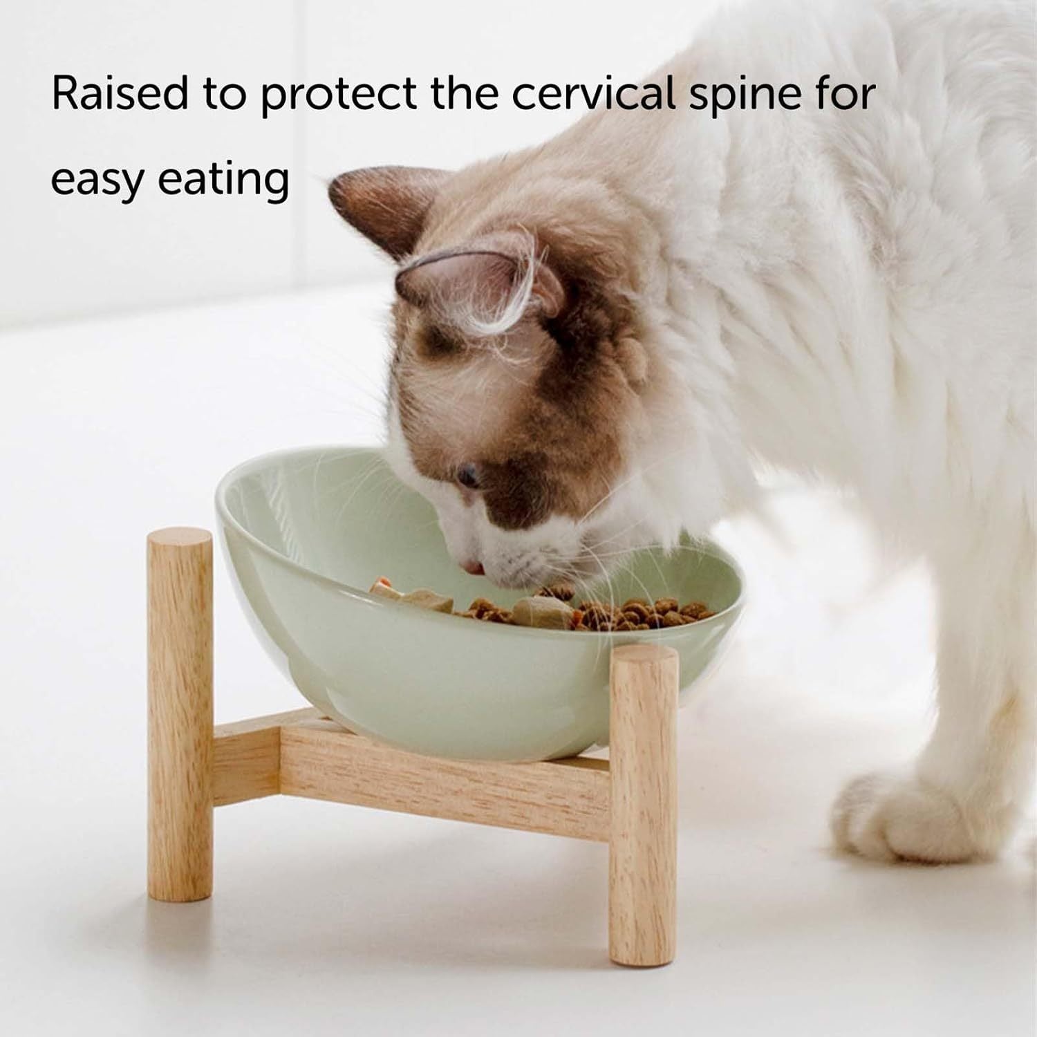 Cat Bowls