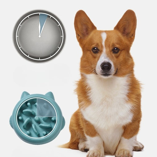 Pet Slow Feeder Bowl for Dogs & Cats – Anti-Choking Slow Eating Dish