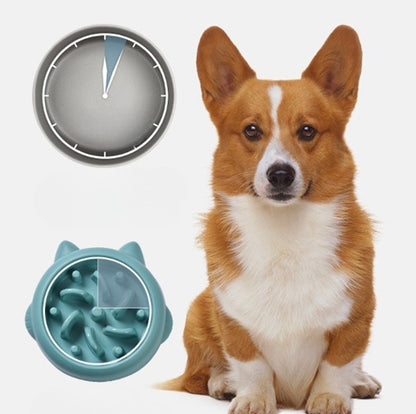 Pet Slow Feeder Bowl for Dogs & Cats – Anti-Choking Slow Eating Dish