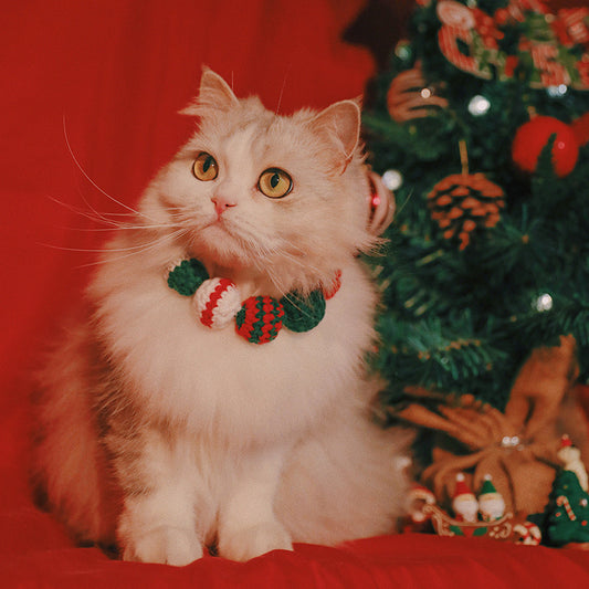 Pet Christmas Limited Ball Bib