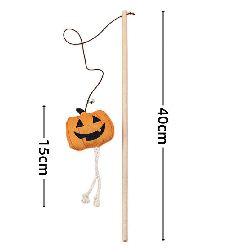 Cute Pumpkin Halloween Cat Teaser