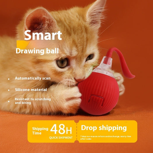 Interactive rolling cat toy ball for active indoor pet play