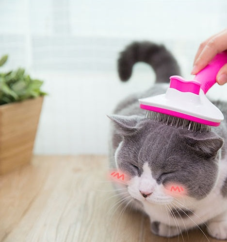 Long hair pet brush for removing loose fur and tangles