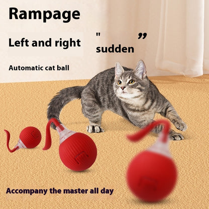 Smart interactive cat play ball for chasing and exercise activities